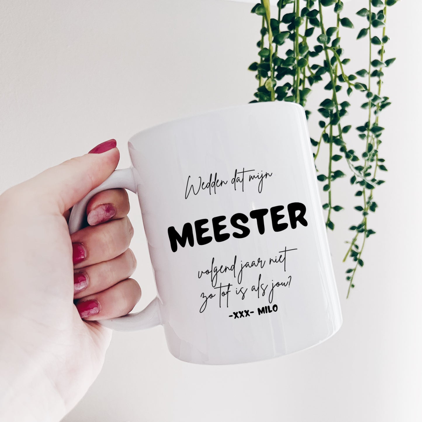 MOK - Wedden dat mijn meester..