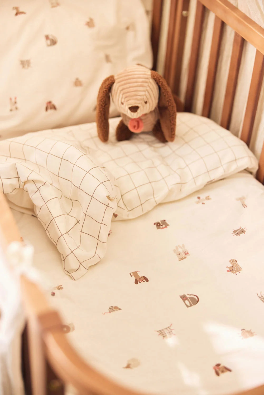 Hondje diego