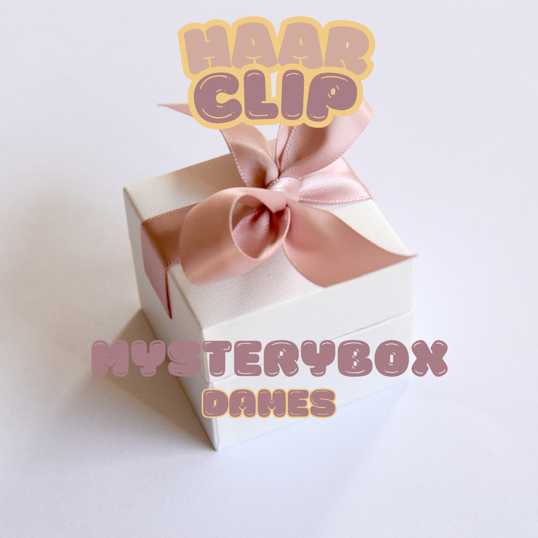 MYSTERYBOX - HAARCLIP - Dames