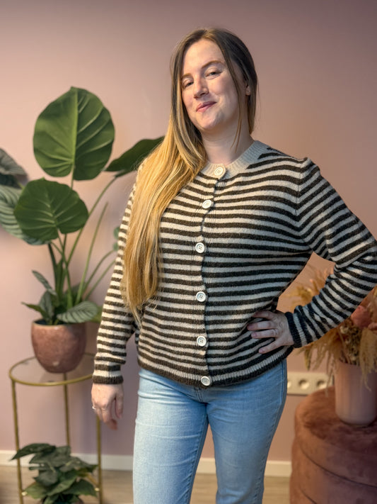vest - brown striped