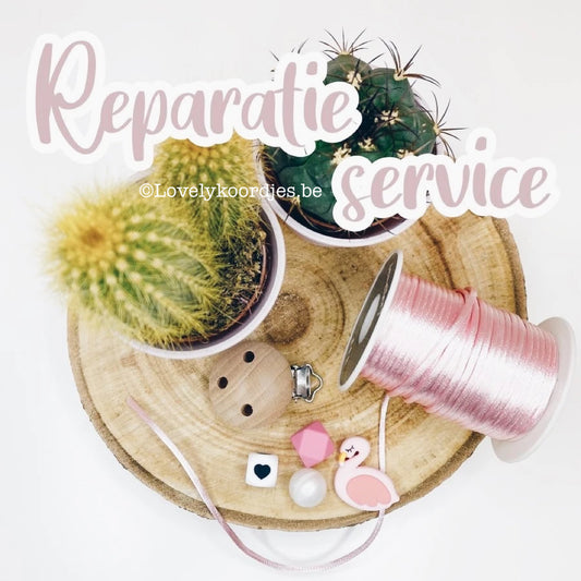 Reparatieservice